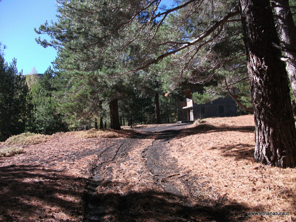 fugio monte Baracca01-11-2012 10-29-02